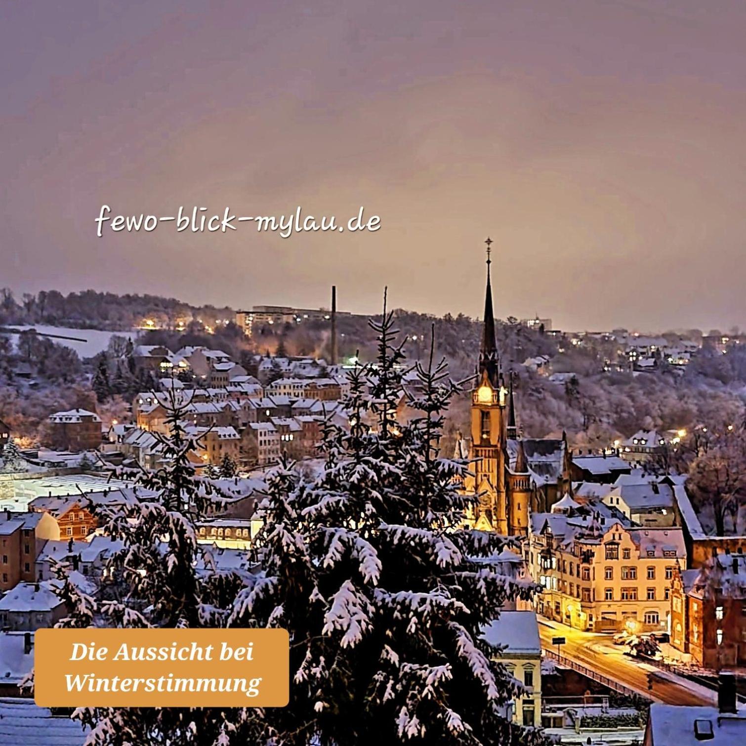 FEWO Blick Mylau 80m2 - Nähe Freizeitpark Plohn&Göltzschtalbrücke - Ruhige Lage - Wald - Wandern - Rad fahren Reichenbach im Vogtland Exterior foto